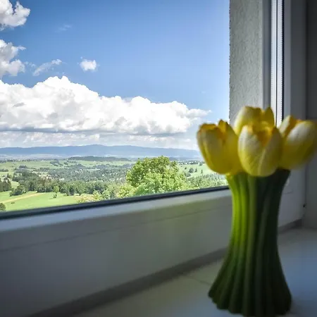 Baranek Guest house